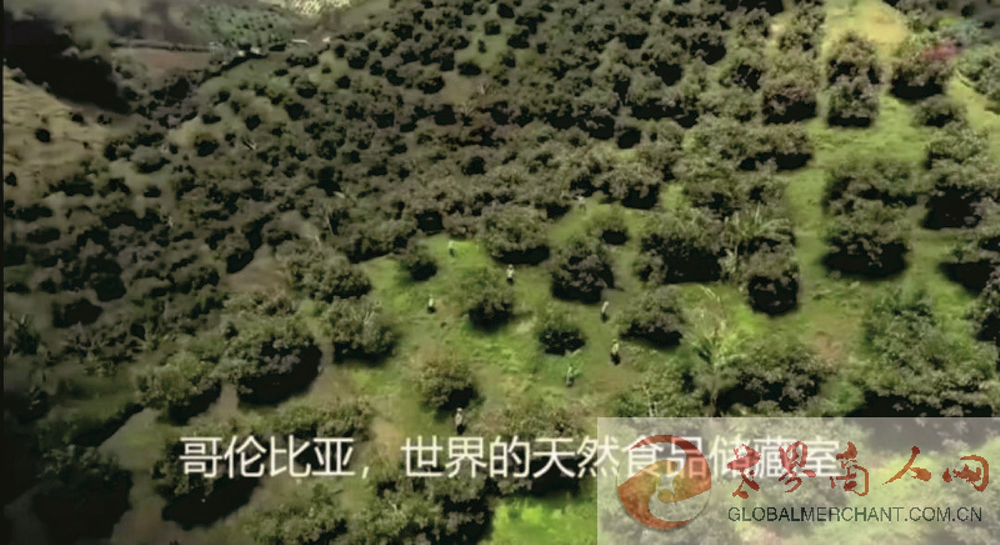 webwxgetmsgimg (9).jpg