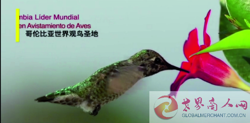 webwxgetmsgimg (2).jpg