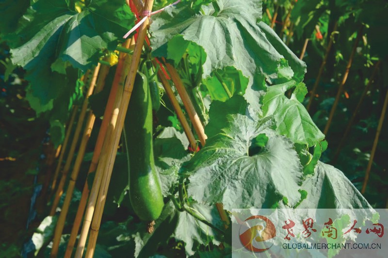 webwxgetmsgimg (8)_1.jpg