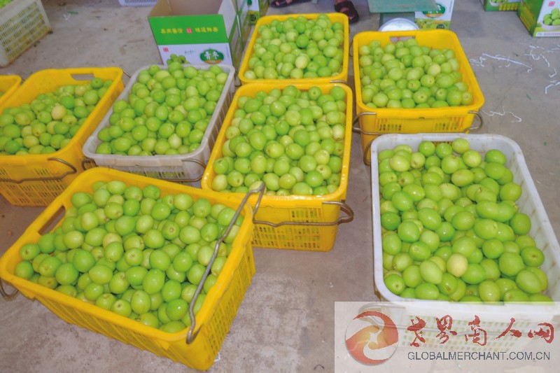 webwxgetmsgimg (11)_1.jpg