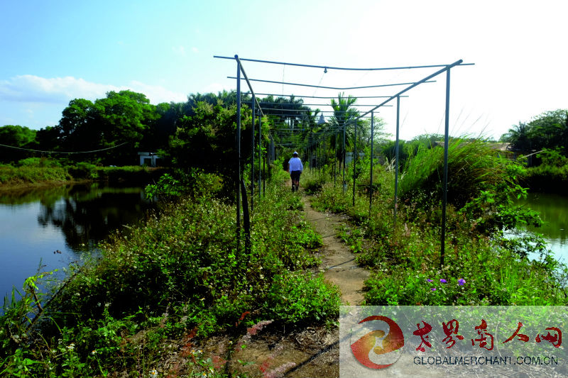 webwxgetmsgimg (15)_1.jpg