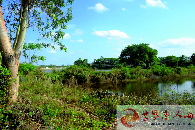 webwxgetmsgimg (16)_1.jpg