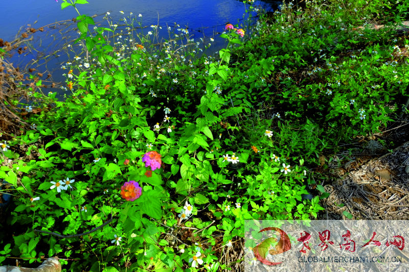 webwxgetmsgimg (18)_1.jpg