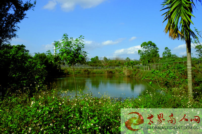 webwxgetmsgimg (13)_1.jpg