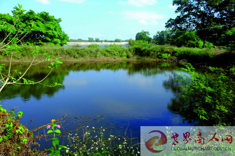 webwxgetmsgimg (14)_1.jpg