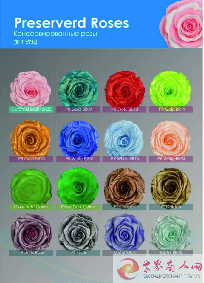 webwxgetmsgimg (20).jpg