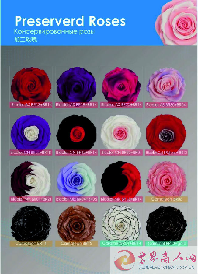 webwxgetmsgimg (21).jpg