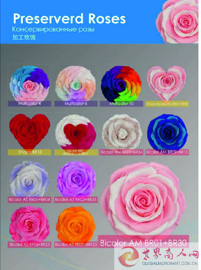 webwxgetmsgimg (22).jpg